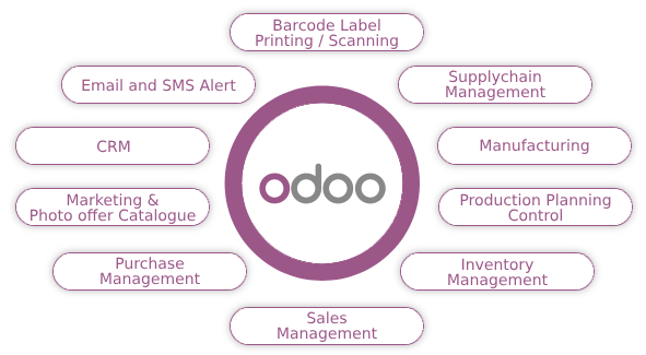 Odoo Benefits