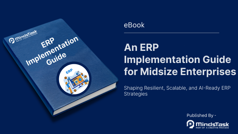 erp implementation